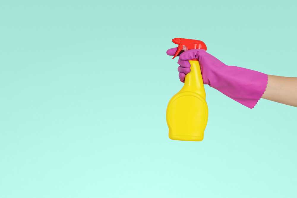 comment garder une maison rangé et ordonnée ? Choisir une bonne aide ménagère